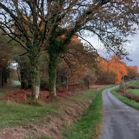 לינה וארוחת בוקר La Mesange Bleue 4*