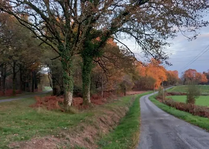 Bed & Breakfast La Mesange Bleue 4*