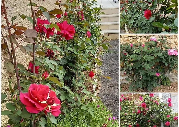 La Mesange Bleue Bed & Breakfast Ecuras